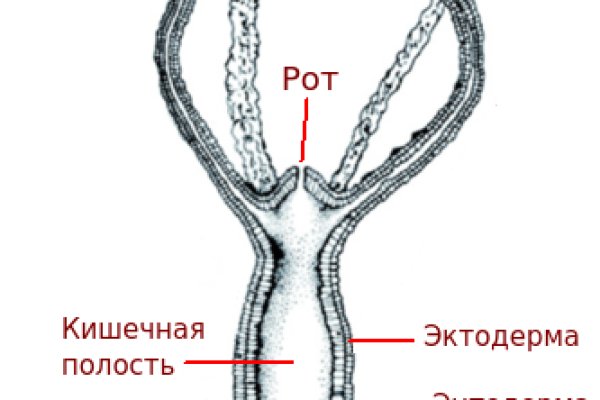 Kraken zerkalo официальный сайт