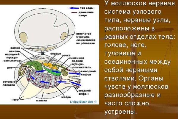 Кракен сайт зеркало рабочее